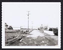 Looking west on Terry Road from Station 3+50