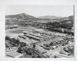 Aerial view of Montgomery High School, Santa Rosa, California, 1964