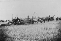 Baling hay, San Jose, California, about 1889