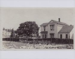 Petaluma, California, chicken ranch, between 1890 and 1900