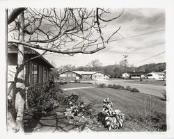 Homes in the Larkfield area, Santa Rosa, California, 1960