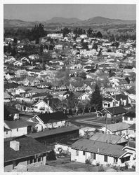 View of Petaluma, California from La Cresta Drive, 1959