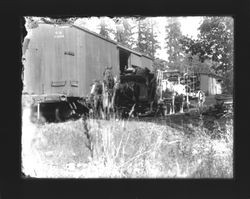 Unloading logs from horse drawn wagons into a Union Pacific boxcar