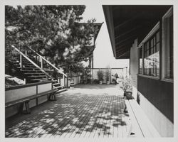 Deck and hillside of an unidentified house, Santa Rosa, California, 1961