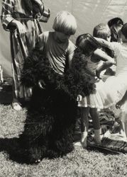 Backyard circus gorilla at the Sonoma County Fair, Santa Rosa, California