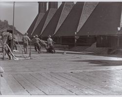 Loading the hops into the kilns on Wohler Road, Healdsburg, California, in the 1920s