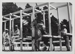 Testing the starting gate at the Sonoma County Fair Racetrack, Santa Rosa, California