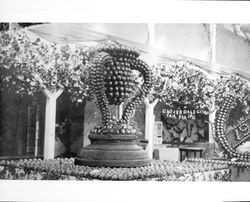 Cloverdale Citrus Fair, Feb. 1912--loving cup made from citrus