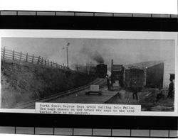 Northbound train pulling into Fallon, Marin County, California, 1894