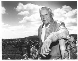 Louis Foppiano, Sr. standing in his vineyard, Healdsburg, California, 1994