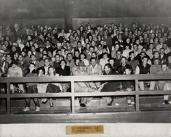 Spectators at Petaluma Leghorn game against the Oakland Owls