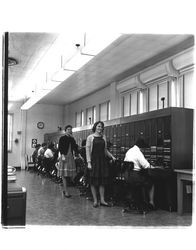 Switchboard at Pacific Telephone and Telegraph, Petaluma, California, about 1957