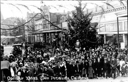 Open-air Xmas Tree Petaluma, California