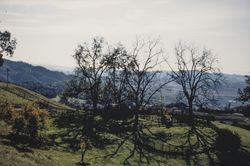 Corral on a hill near Healdsburg