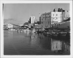 Motor boats moored on the river near McNear warehouses, Petaluma, California, 1952