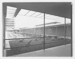 Landscaped area between classroom wings at Montgomery High School, Santa Rosa, California, 1959