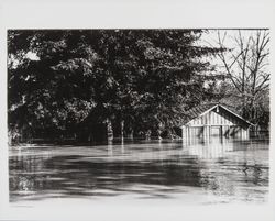 Streets of Guerneville during flood of Dec. 1937