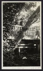 Joyce V. Drake standing on a wooden bridge in Berkeley, California, 1922