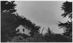 Unidentified wooden-frame houses near the Sonoma County coast