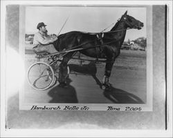 Hamburgh Belle Jr, Petaluma, California, 1923