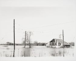 Sebastopol area flood, Sebastopol, California, 1937