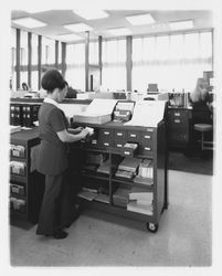 Exchange Bank staff member works at a card file cabinet at the Coddingtown office of the Exchange Bank, Santa Rosa, California, 1972