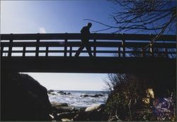 Bridge on Shell Beach Sea Ranch Access Trail, December 1985