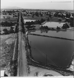 Aerial view of sewage treatment ponds at the Windsor sewage plant, Windsor, California, 1972