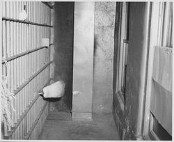 Interior view of the Sonoma County Jail