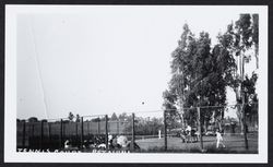 Tennis court, Petaluma, California, September 9, 1908