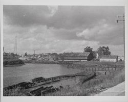 Petaluma River near the D Street bridge, looking northwest