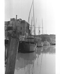 Boats in Petaluma River Turning Basin