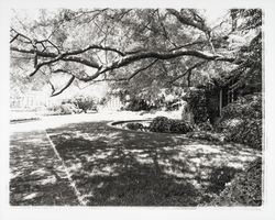 Burbank Gardens, Santa Rosa, California, 1978