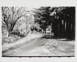 Streets of Guerneville during the flood of December 1937