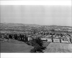 Aerial view of east Petaluma showing East Washington, East Madison, and Ely Boulevard