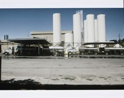 Tank trucks parked at the California Cooperative Creamery plant in Petaluma, about 1990