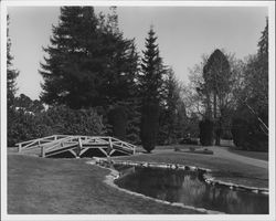 Juilliard Park, Santa Rosa, California, 1959