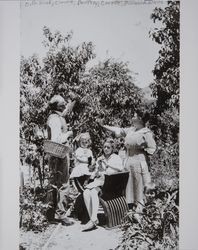 Octavius G. Wood and the White family in the orchard, Petaluma, California, about 1916