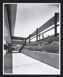 Looking up at the loading dock in the rear of the library