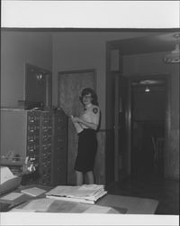 Filing papers at the Petaluma Police Department, Petaluma, California, 1955