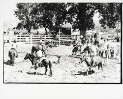 G.K. Hardt employee picnic, Santa Rosa, California, 1958