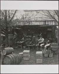 Italians bottling wine, between 1900 and 1910