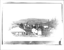 Unidentified Petaluma, California farmstead, early 1900s