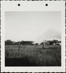 Burning branches on agricultural land