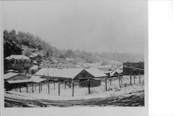 Occidental after a snow storm