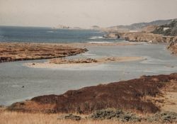 Wetlands near a beach in Bodega Bay