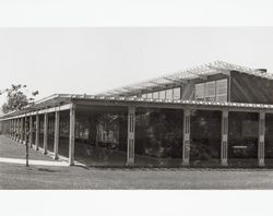 McKinley Elementary School, Petaluma, California, about 1954