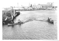 Canoe races on the Petaluma River, Petaluma, California, about 1964