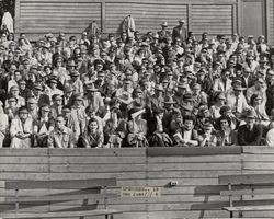 Spectators at the Petaluma Leghorn game against San Jose