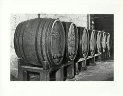 Hand carved oak wine casks dating back to 1823 at Sebastiani Vineyards
